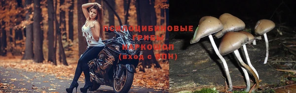 скорость Балабаново